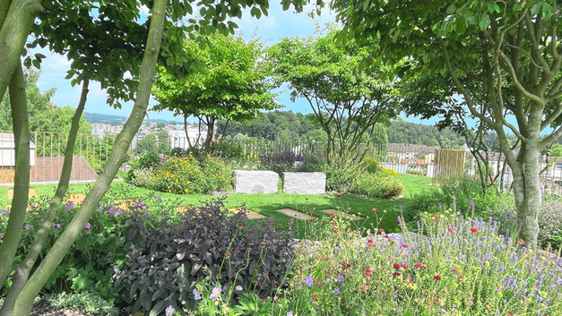 BILDER HOFFMANN GARTENCENTER
